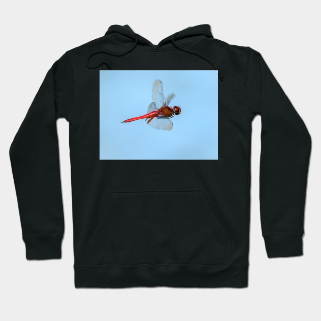 Flying Red Dragonfly Hoodie by kawaii_shop